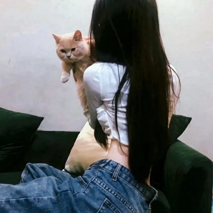 白鹭